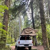 Review photo of Ohanapecosh Campground — Mount Rainier National Park by Xavier D., July 17, 2021