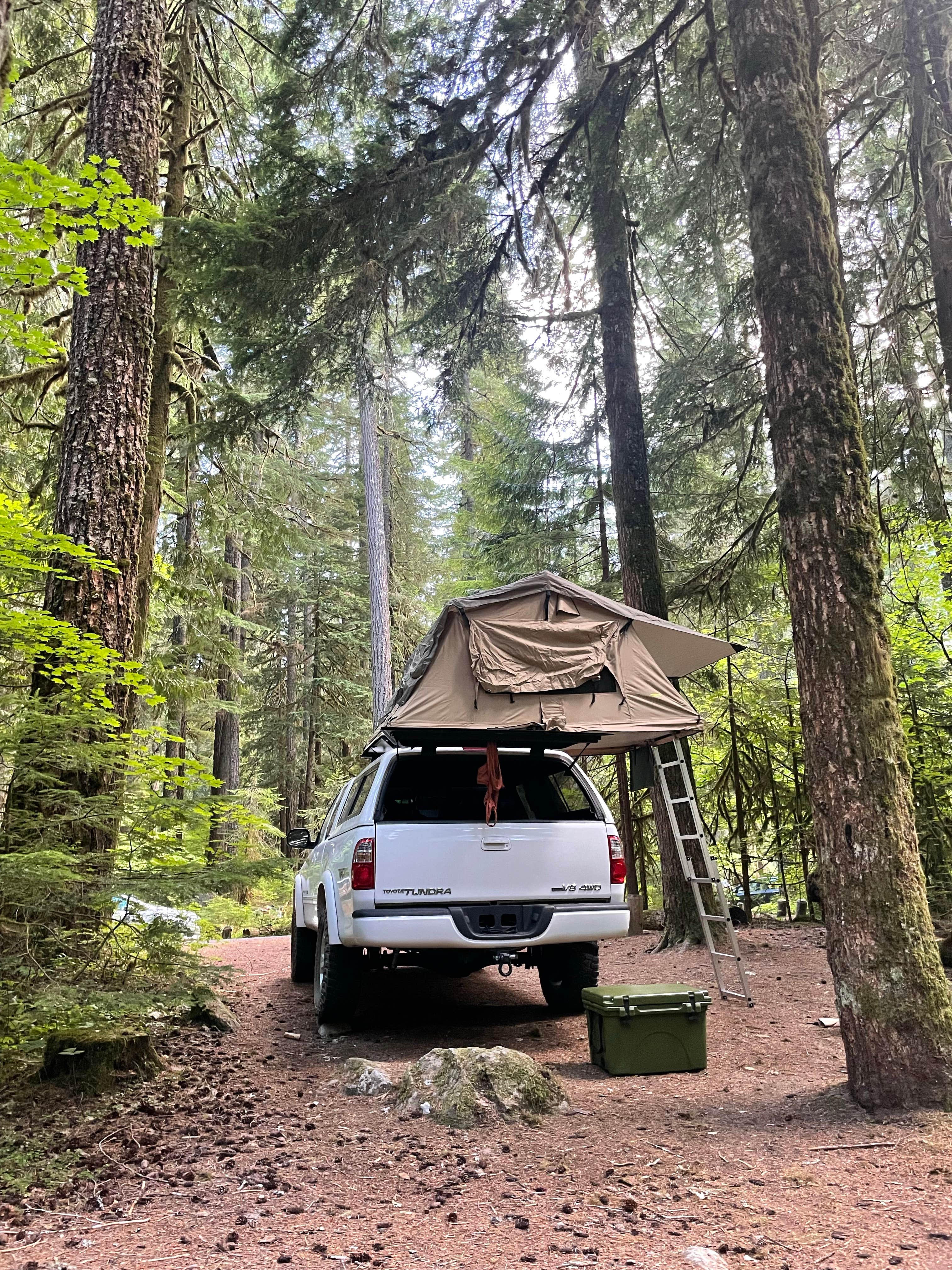 Camper submitted image from Ohanapecosh Campground — Mount Rainier National Park - 1