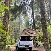 Review photo of Ohanapecosh Campground — Mount Rainier National Park by Xavier D., July 17, 2021