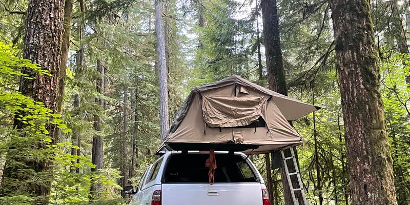 Camper submitted image from Ohanapecosh Campground — Mount Rainier National Park