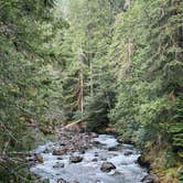 Review photo of Ohanapecosh Campground — Mount Rainier National Park by Xavier D., July 17, 2021