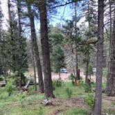 Review photo of Forest Road 568 - Dispersed Camping by Name , July 17, 2021