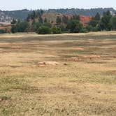 Review photo of Belle Fourche Campground at Devils Tower — Devils Tower National Monument by Brandon S., July 17, 2021