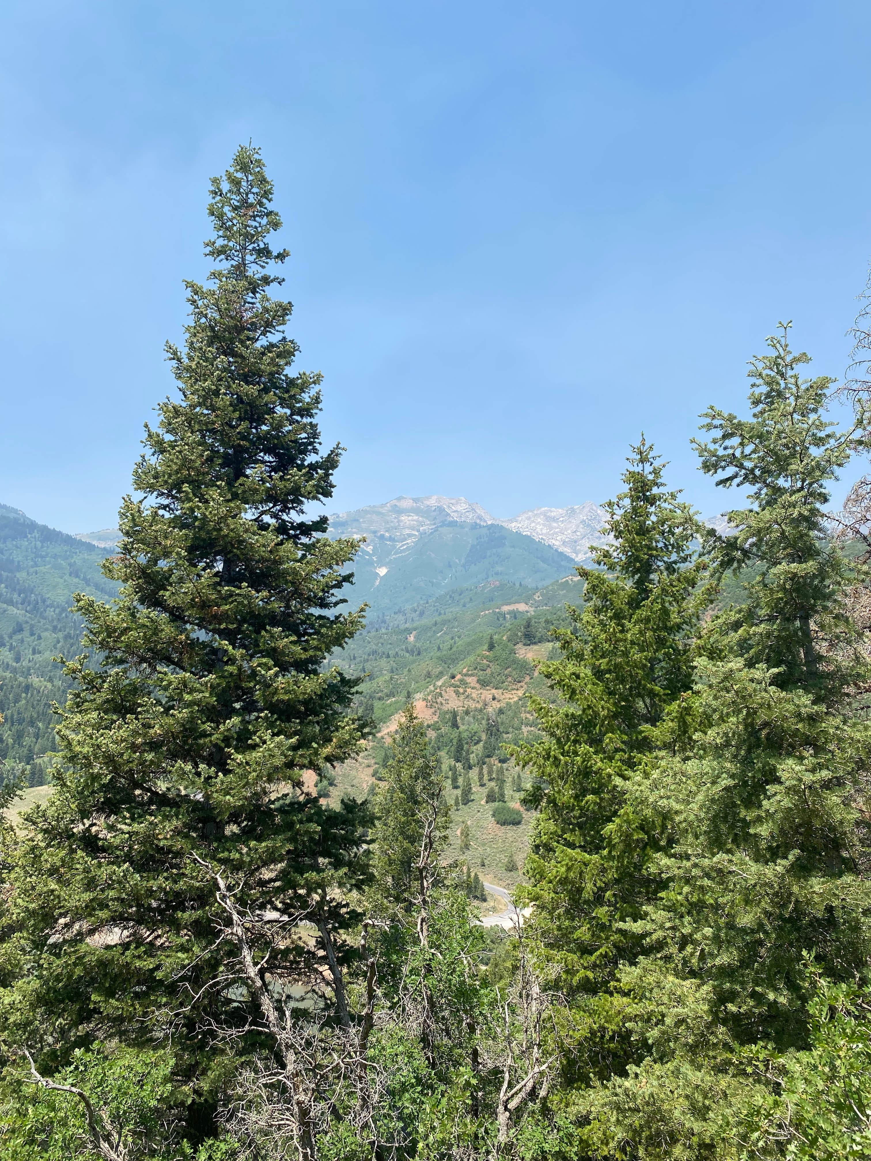 Camper-submitted photo at Kimball Campground near Snowbird, UT