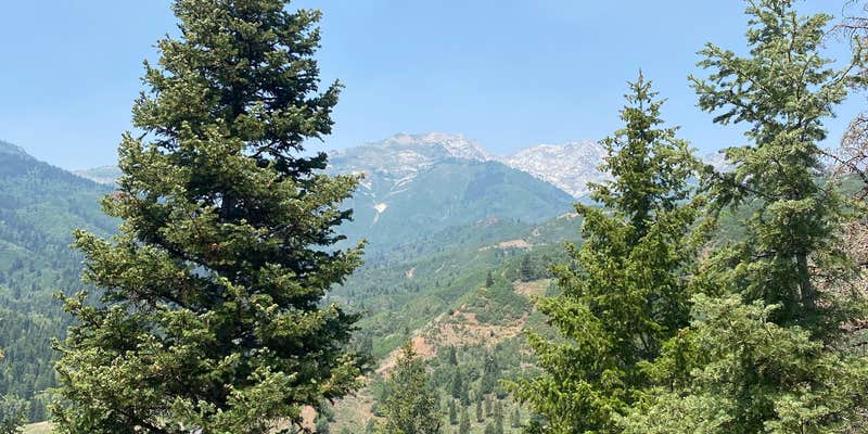 Camper submitted image from Kimball Campground