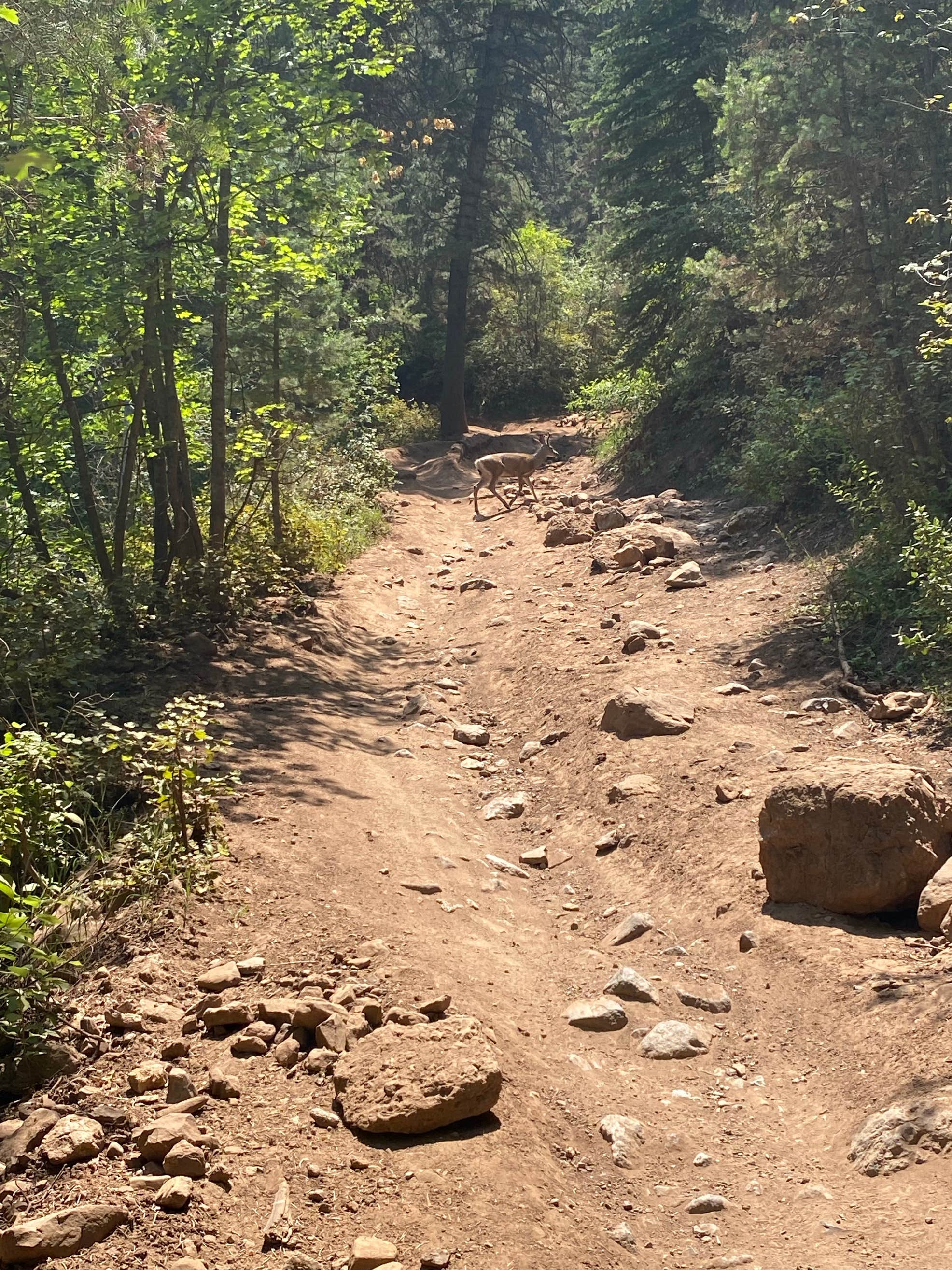 Kimball Campground The Dyrt