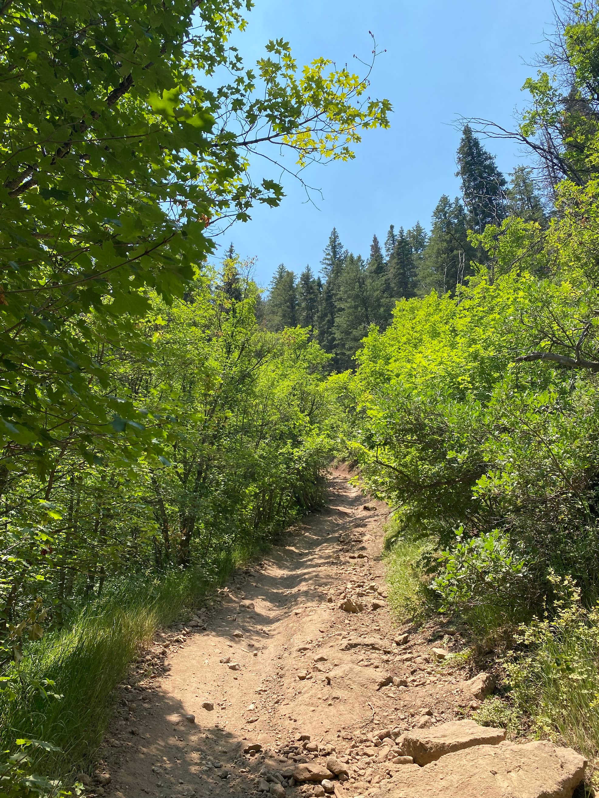 Kimball Campground The Dyrt