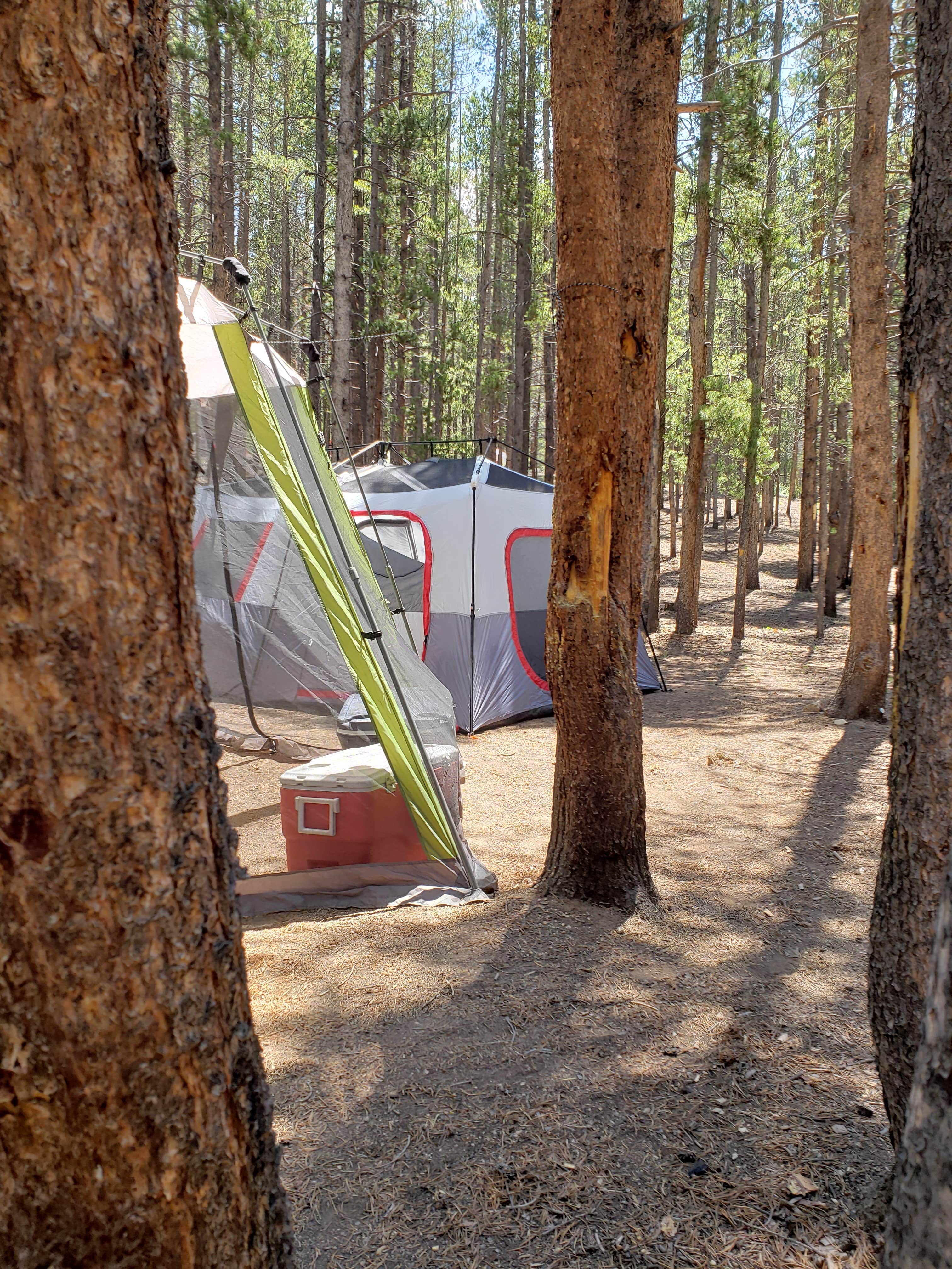 Janice M.'s photo of tent camping at Halfmoon Campground near Minturn, CO