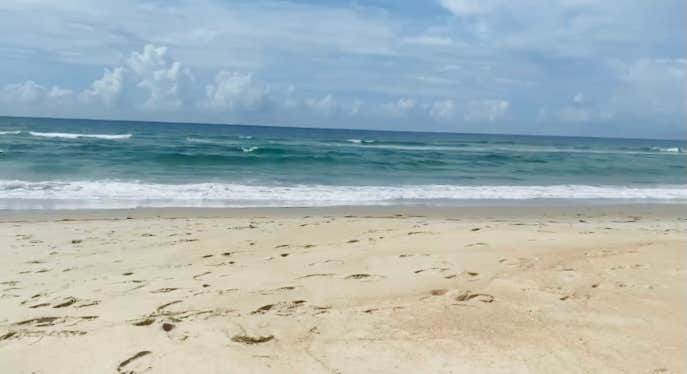 Camping near Ocracoke Campground — Cape Hatteras National Seashore: Cape Woods Campground, Buxton, North Carolina