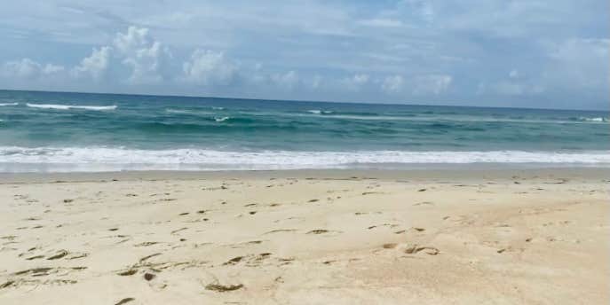 Camper submitted image from Cape Woods Campground