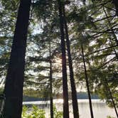 Review photo of North Gemini Lake State Forest Campground by Corey O., July 17, 2021