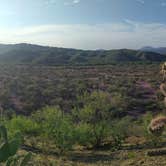 Review photo of BLM Fourmile Canyon by Macx , July 17, 2021