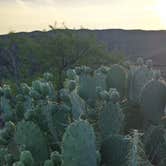 Review photo of BLM Fourmile Canyon by Macx , July 17, 2021