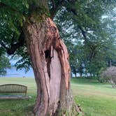 Review photo of Pokagon State Park Campground by Christopher R., July 17, 2021