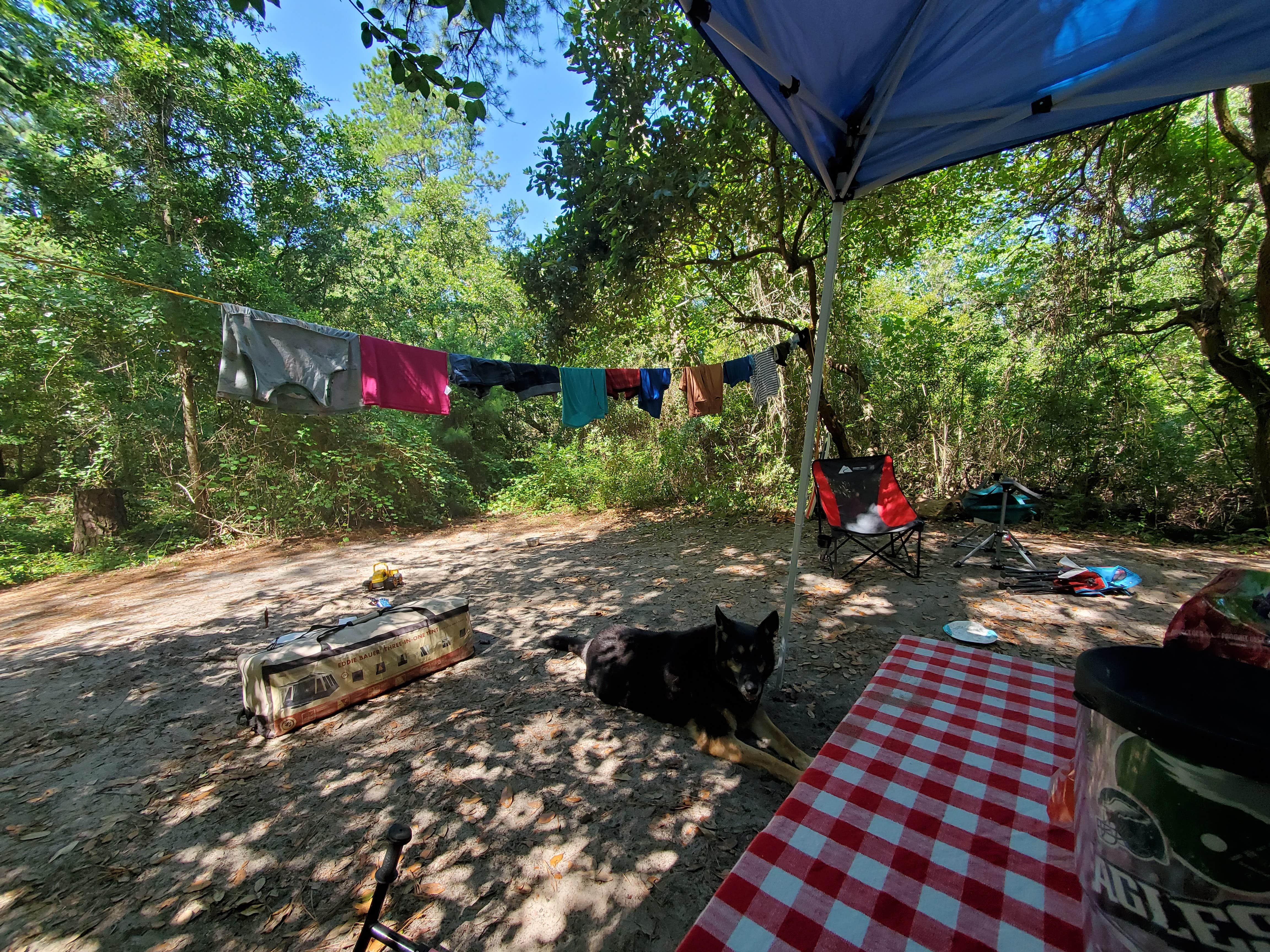 Bridget H.'s photo of camping with pets at First Landing State Park Campground near Newport News, VA