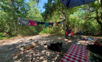 Bridget H.'s photo of camping with pets at First Landing State Park Campground in Virginia
