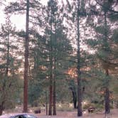 Review photo of Barton Flats Family Campground by Yume G., July 17, 2021