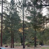 Review photo of Barton Flats Family Campground by Yume G., July 17, 2021