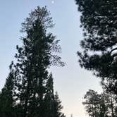 Review photo of Barton Flats Family Campground by Yume G., July 17, 2021