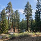 Review photo of Barton Flats Family Campground by Yume G., July 17, 2021