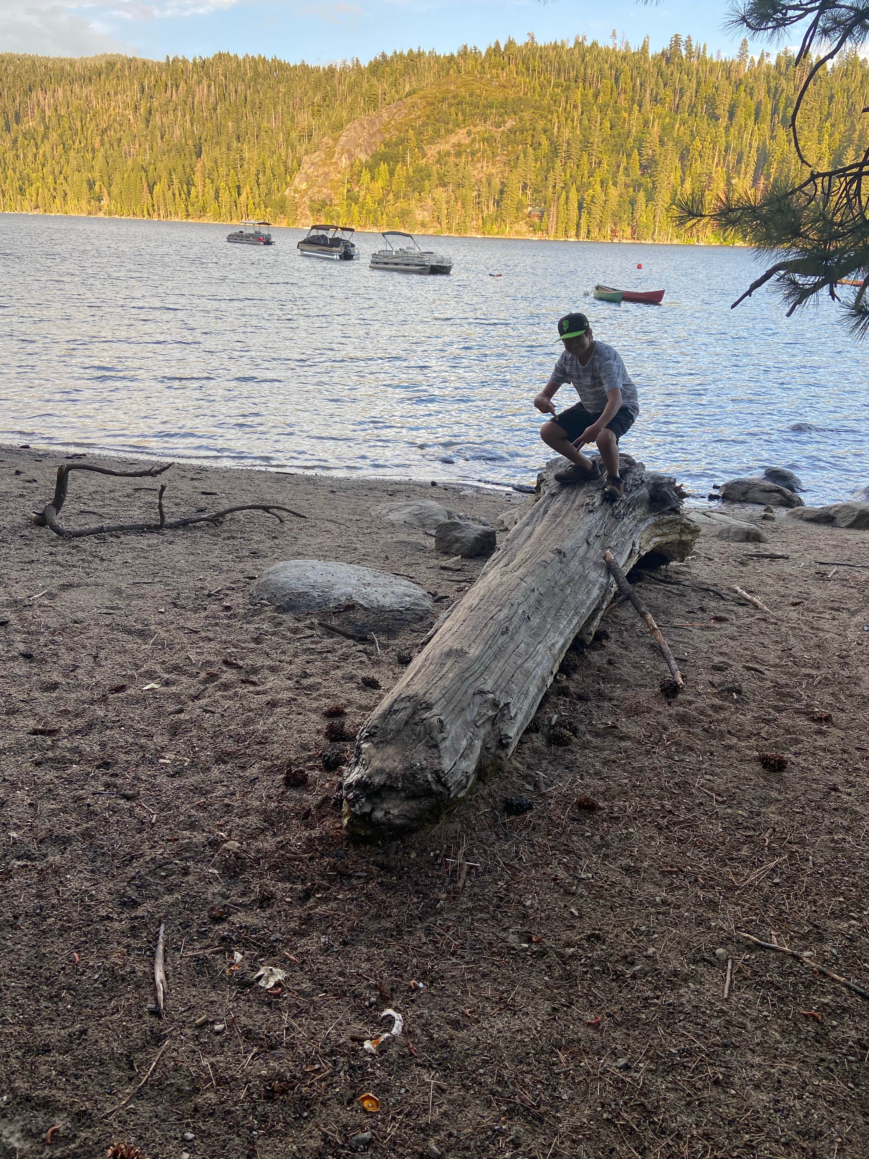 Camper-submitted photo at Meadowview near Stanislaus National Forest