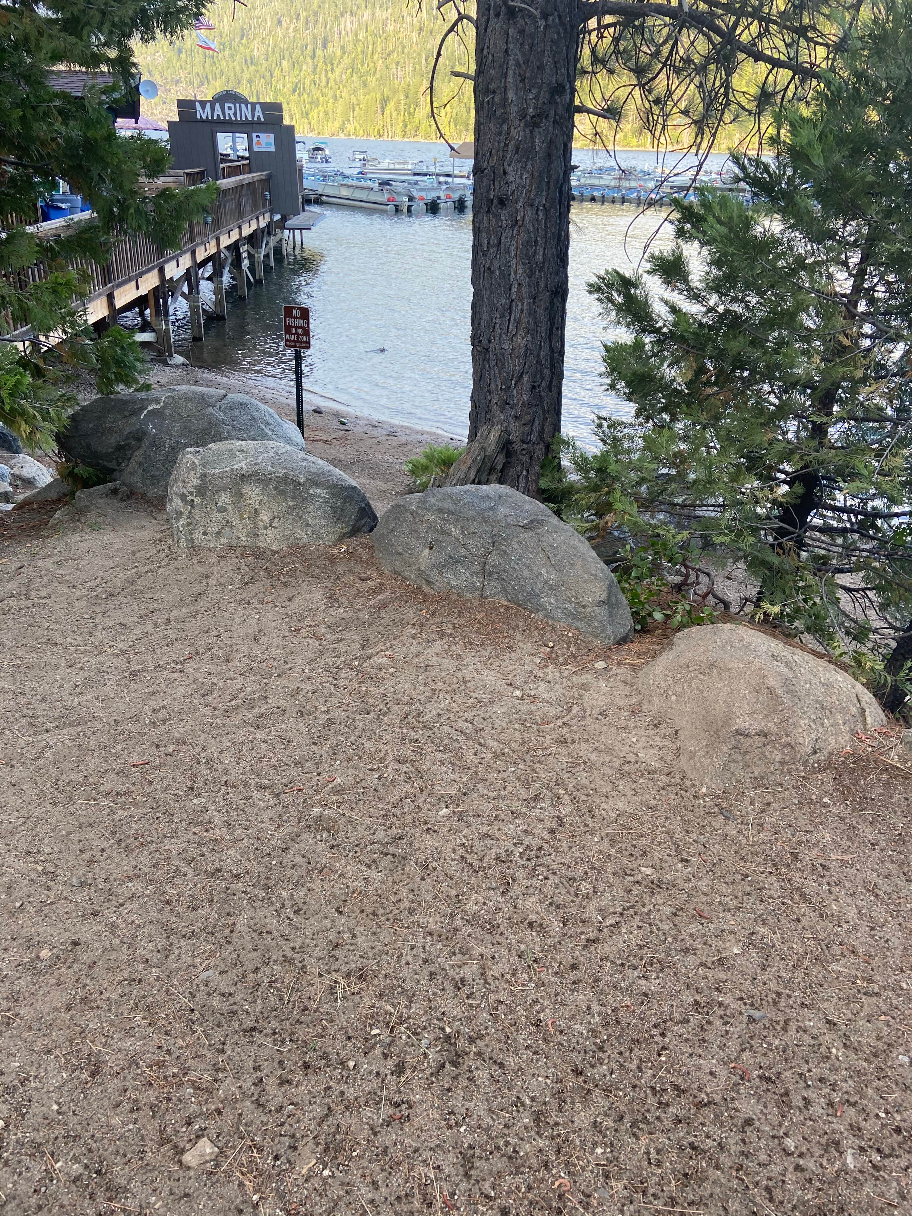 Camper-submitted photo at Meadowview near Stanislaus National Forest