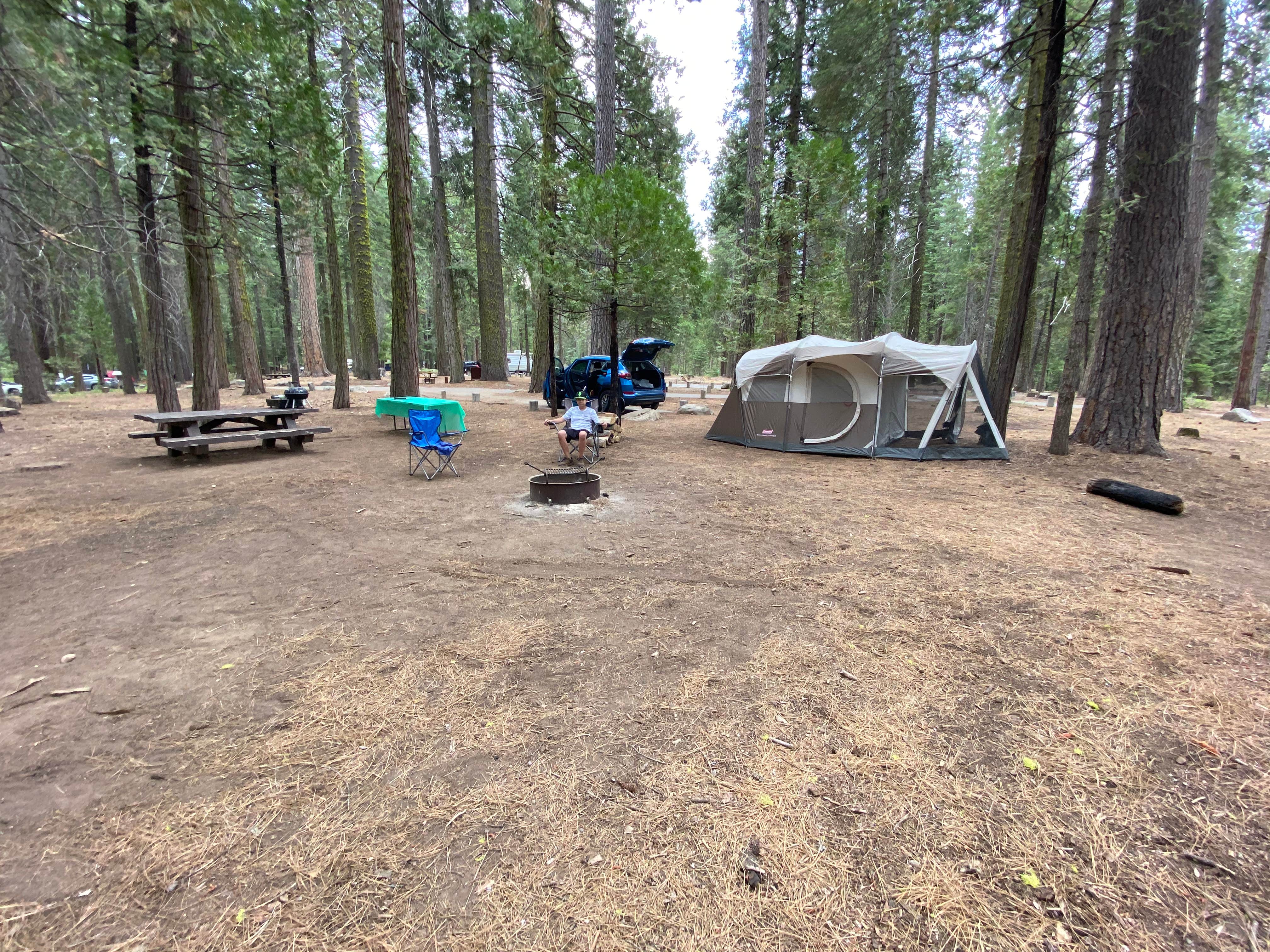 Camper-submitted photo at Meadowview near Stanislaus National Forest