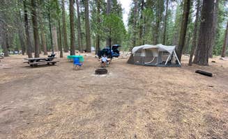 Michael's photo at Meadowview near Stanislaus National Forest