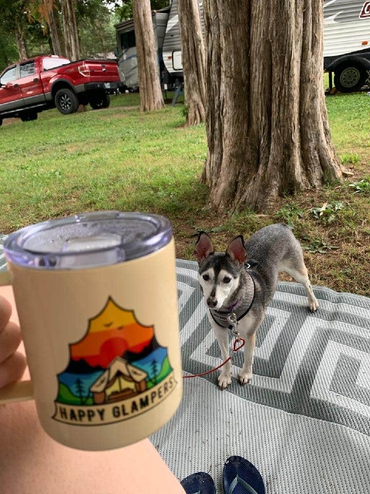 Ricky's photo of camping with pets at Cove Lake State Park Campground near Robbins, TN