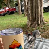 Review photo of Cove Lake State Park Campground by Ricky , July 17, 2021