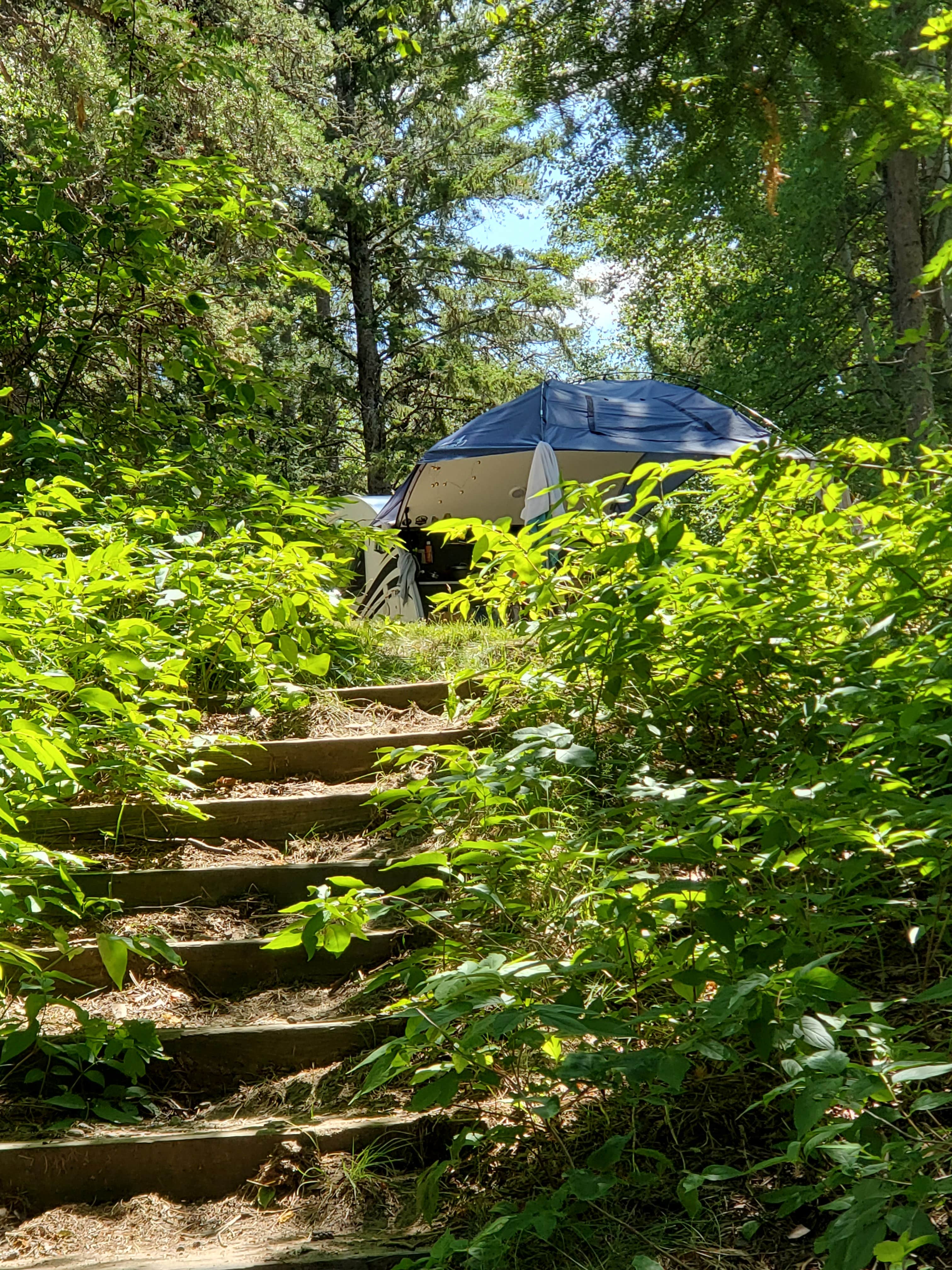 Camper submitted image from Lake Jeanette Campground & Backcountry Sites - 5