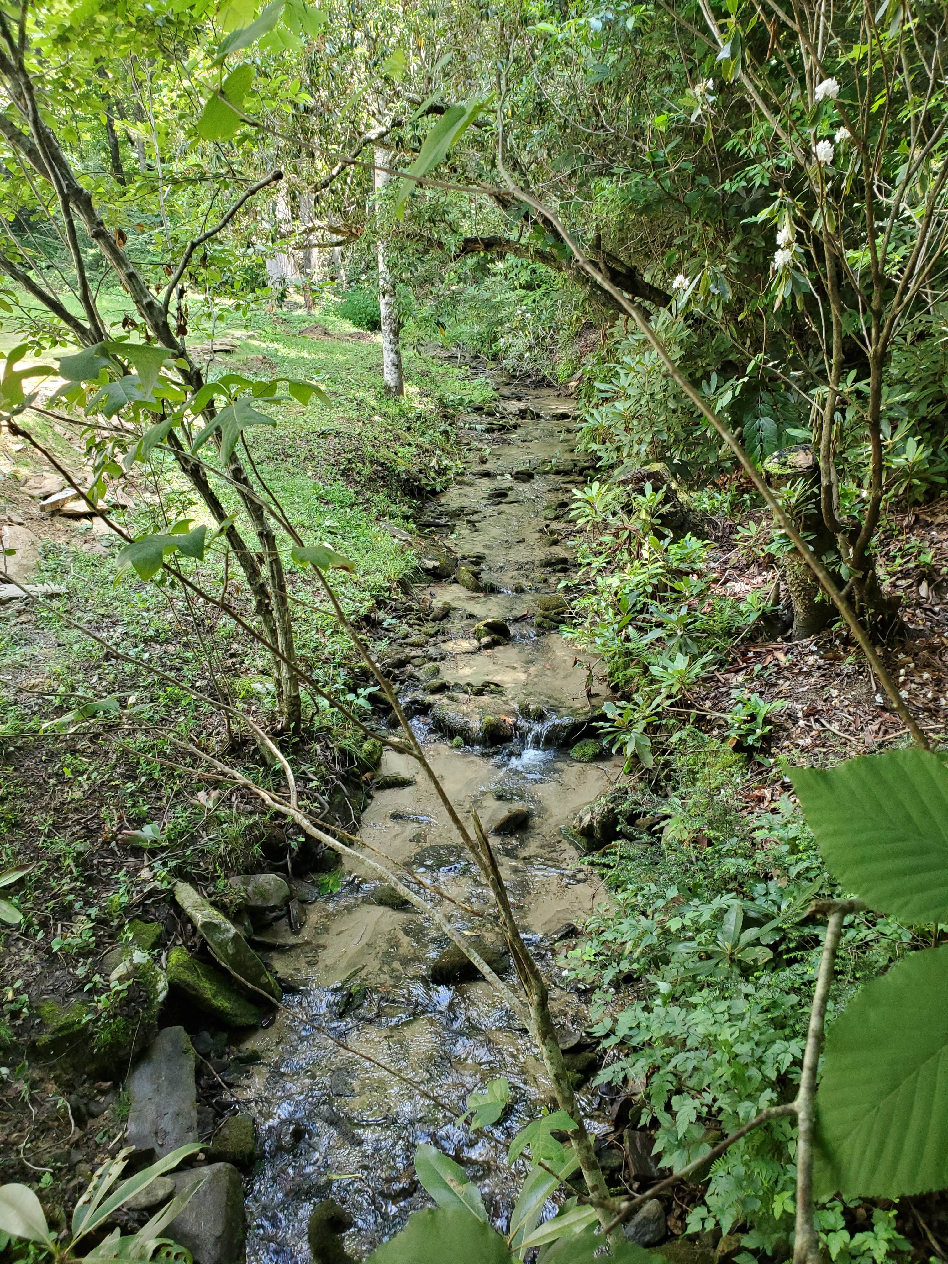 Camping near Catawba Falls Campground - TEMPORARILY CLOSED 2025: Black Mountain Creek Side, Lake Lure, North Carolina