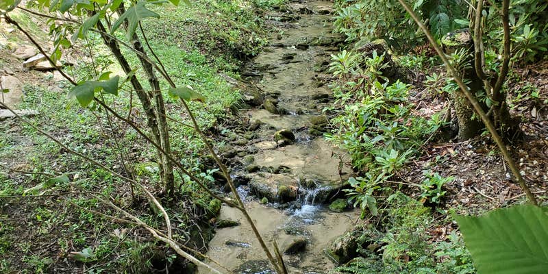 Camper submitted image from Black Mountain Creek Side