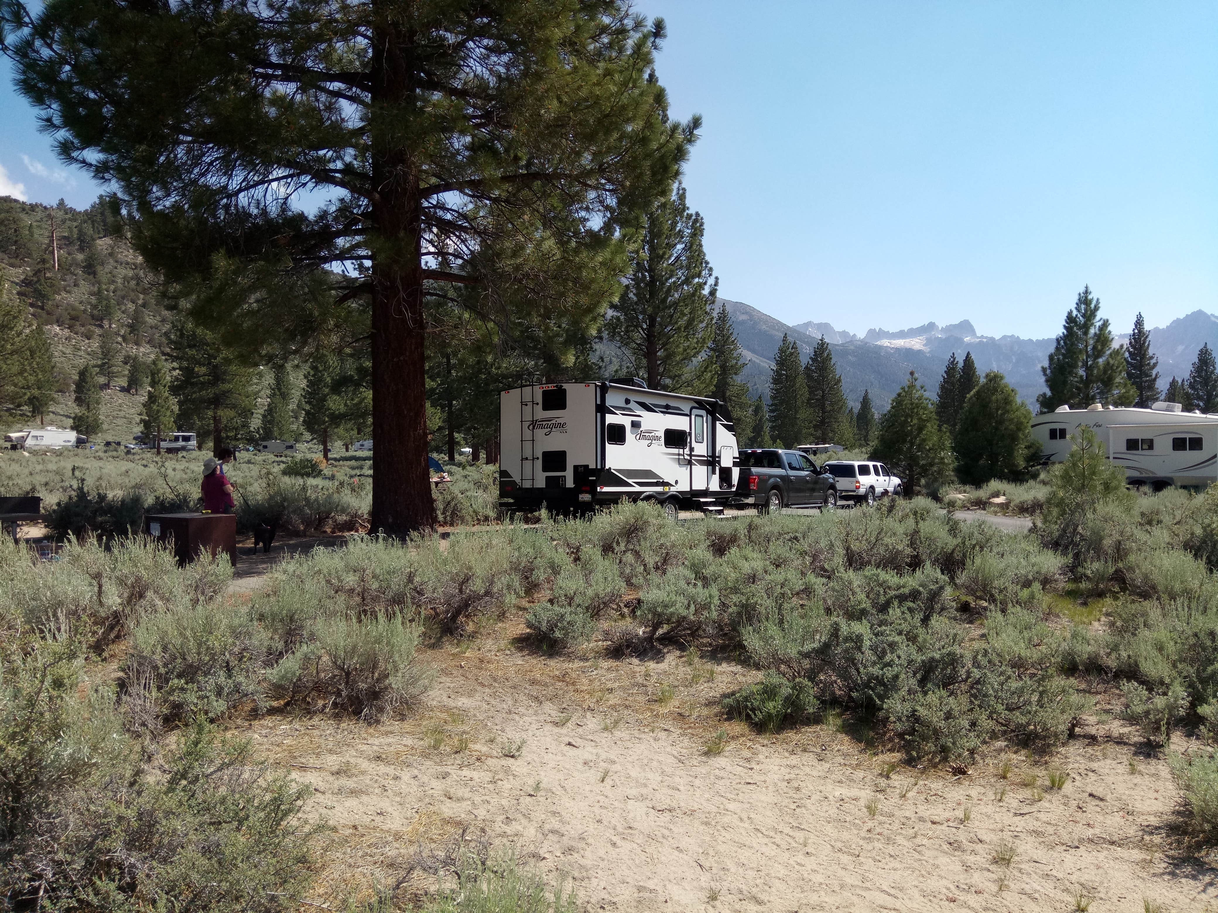 Camper-submitted photo at Crags Campground near Bridgeport, CA