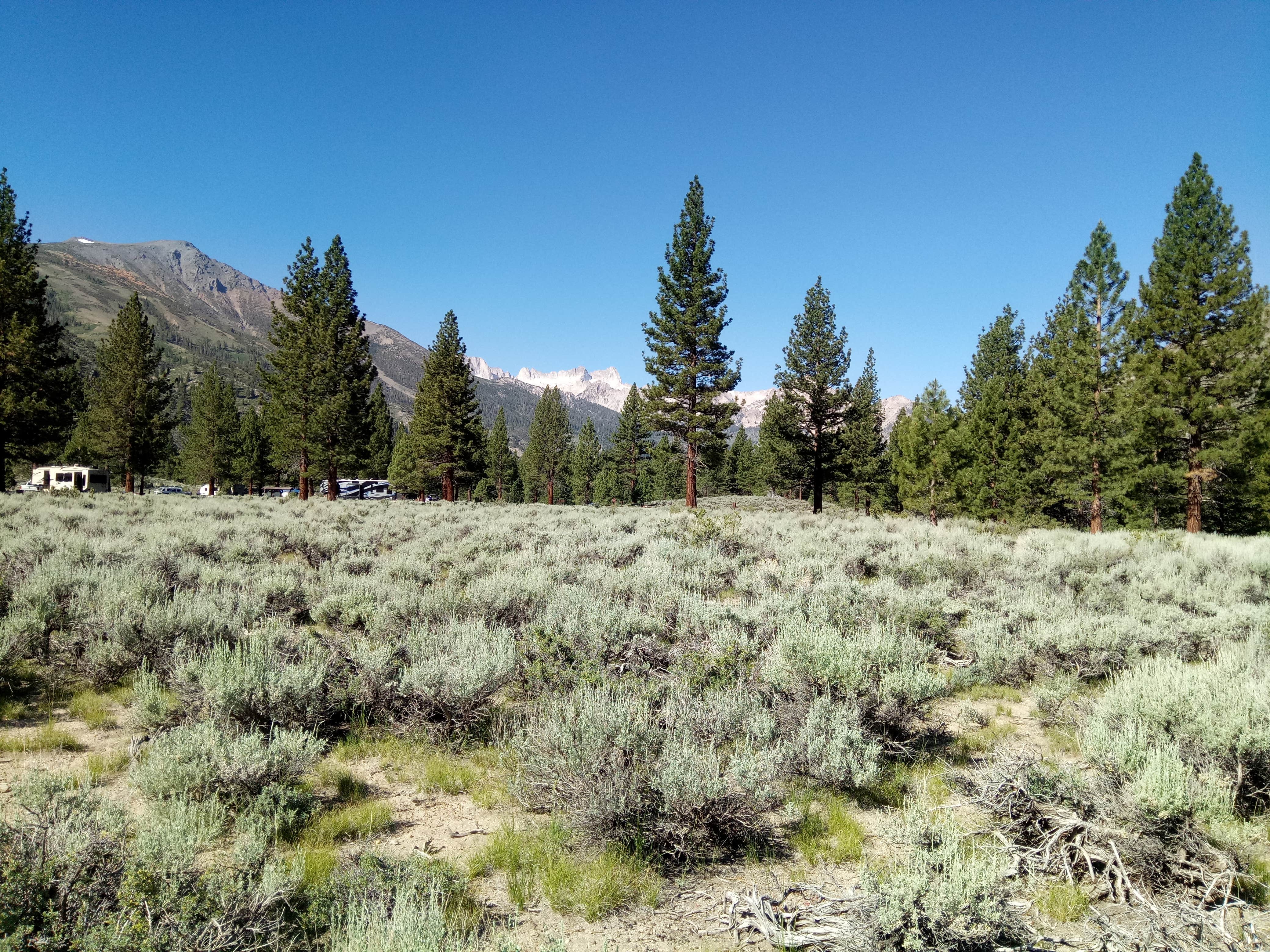 Crags Campground The Dyrt