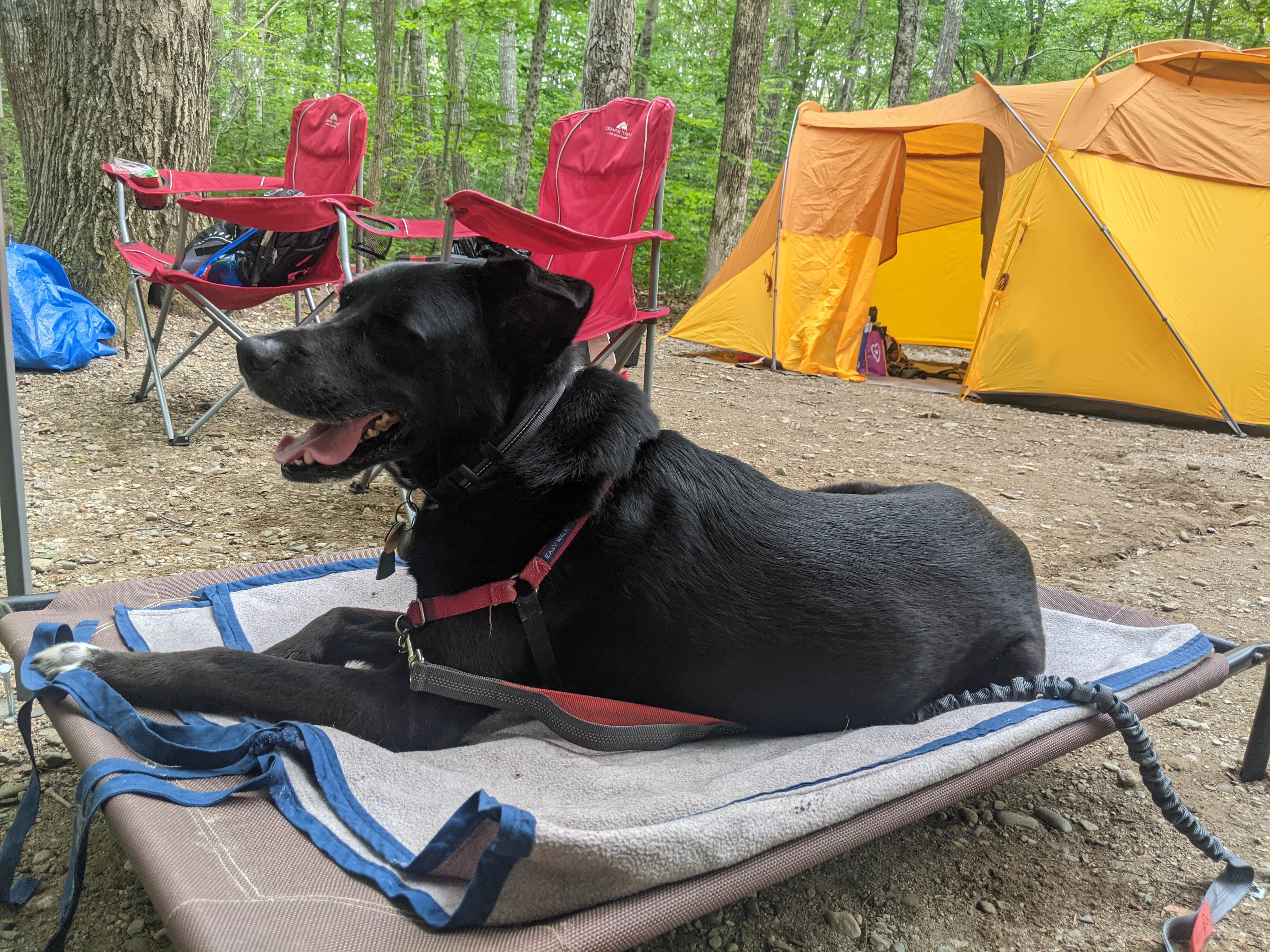 Meaghan H.'s photo at Camden Hills State Park Campground near Lincolnville, ME