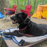 Review photo of Camden Hills State Park Campground by Meaghan H., July 17, 2021