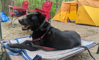 Meaghan H.'s photo at Camden Hills State Park Campground near Searsmont, ME