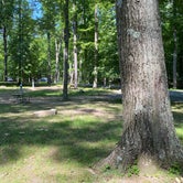 Review photo of Mills Norrie State Park Campground by Kathy L., July 17, 2021