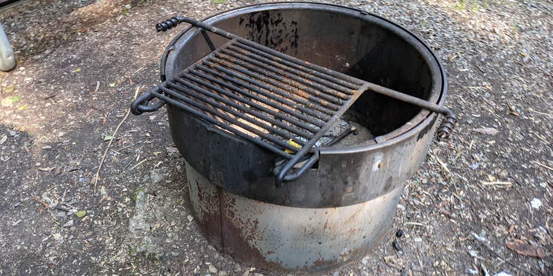 Camper submitted image from Rosehip Campground