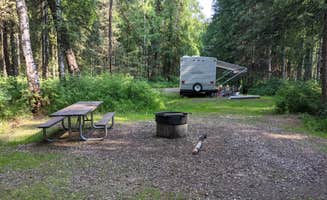 Connor D.'s photo of rv camping at Rosehip Campground near Salcha, AK