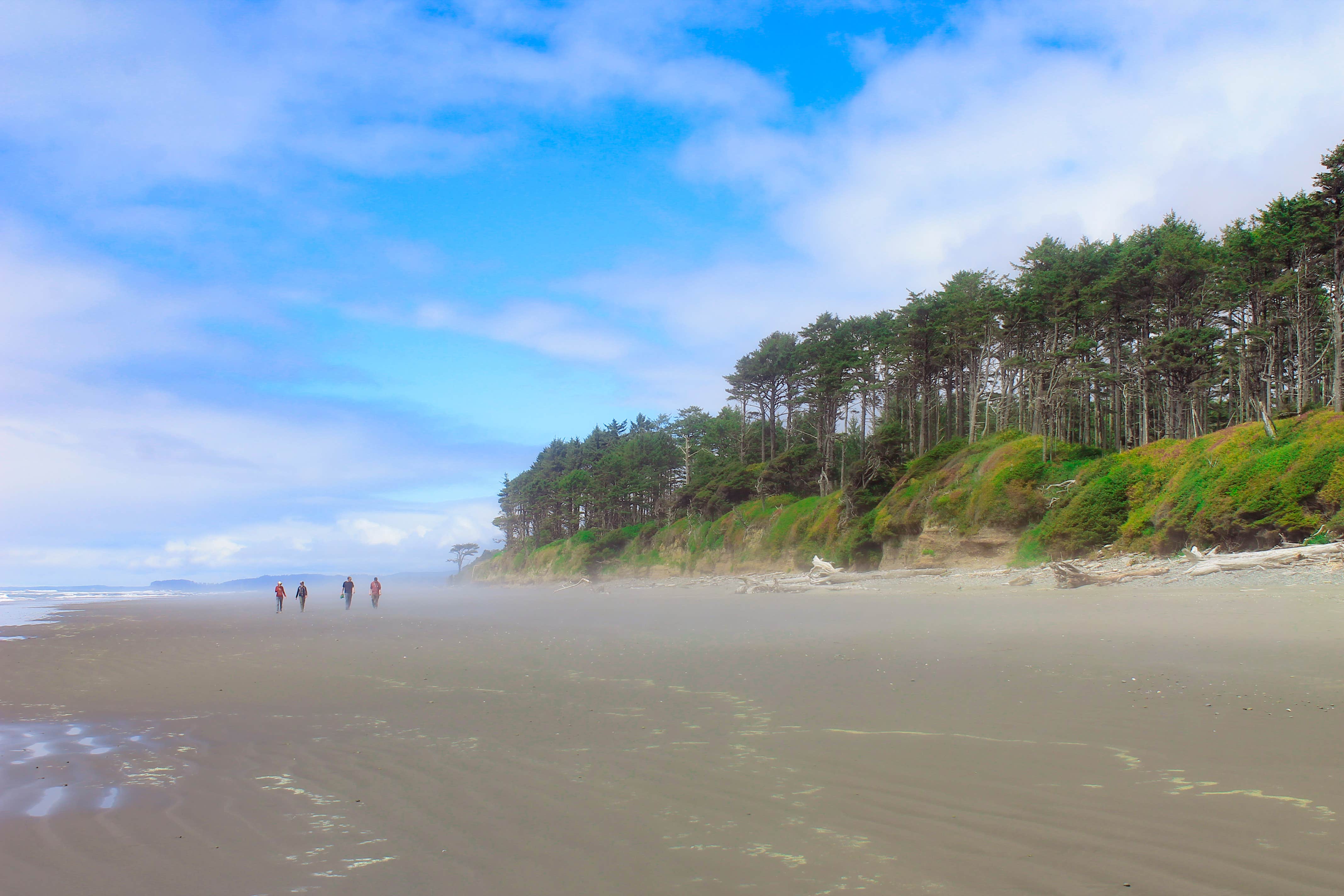 Best camping near Forks, Washington The Dyrt