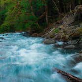 Review photo of Staircase Campground — Olympic National Park by Grace , July 17, 2021