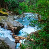 Review photo of Staircase Campground — Olympic National Park by Grace , July 17, 2021