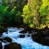 Review photo of Staircase Campground — Olympic National Park by Grace , July 17, 2021