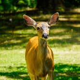 Review photo of Jarrell Cove State Park by Sunday C., July 17, 2021