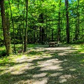 Review photo of Cranberry Lake - DEC by Shari  G., June 14, 2018