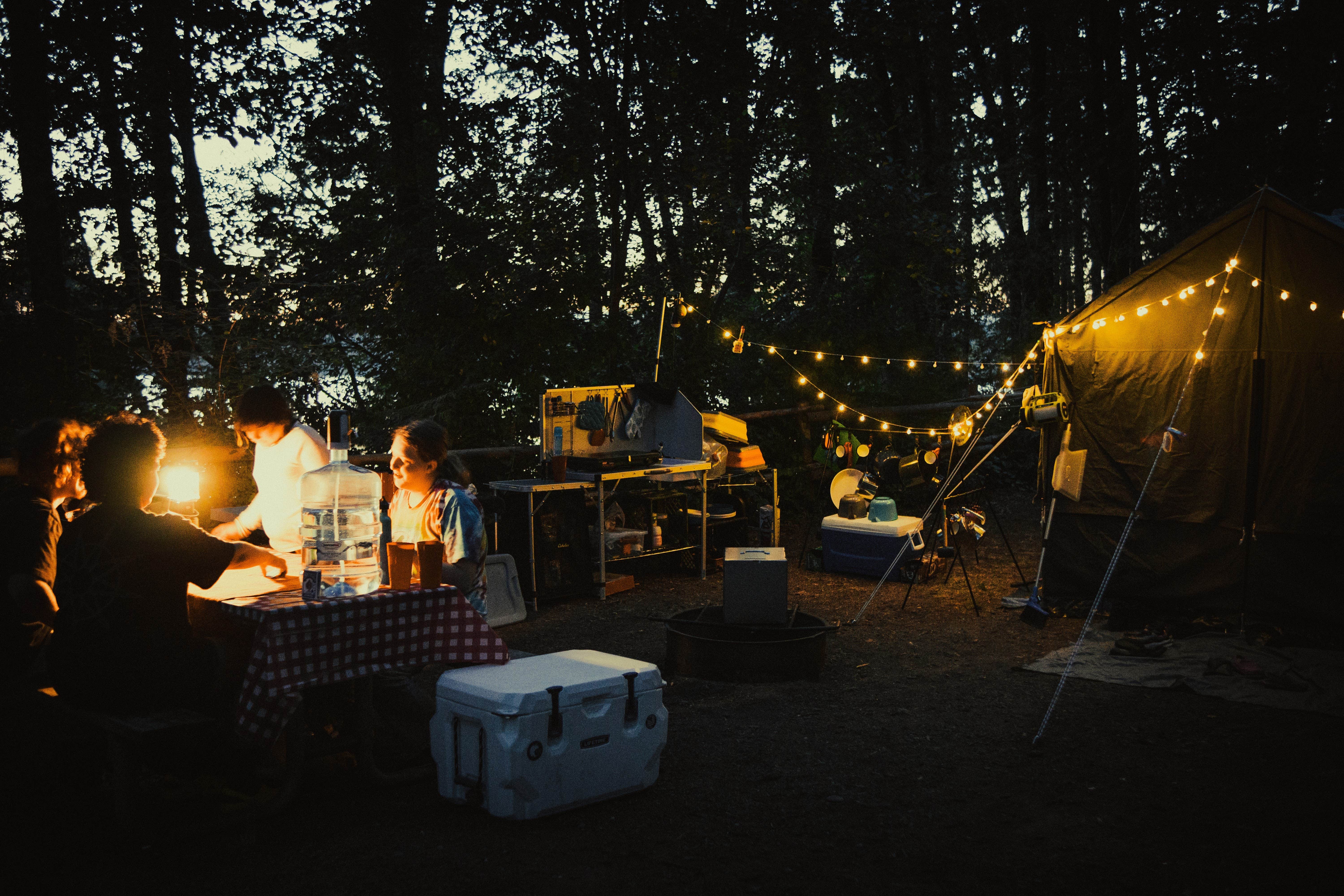 Sunday C.'s photo at Jarrell Cove State Park Campground near Tacoma, WA