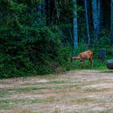 Review photo of Jarrell Cove State Park by Sunday C., July 17, 2021