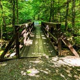 Review photo of Cranberry Lake - DEC by Shari  G., June 14, 2018